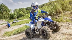 2017 Yamaha YFZ50