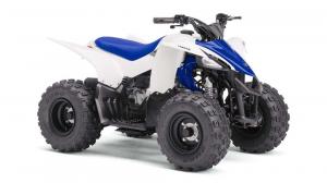 2017 Yamaha YFZ50