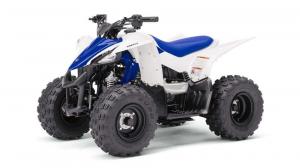 2017 Yamaha YFZ50