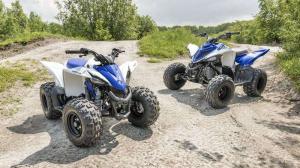 2017 Yamaha YFZ50