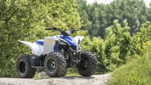 2017 Yamaha YFZ50