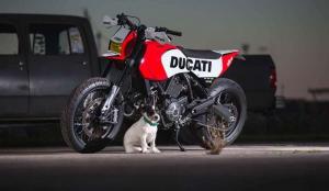 2016 Ducati Scrambler Motard by Russell Motorcycles