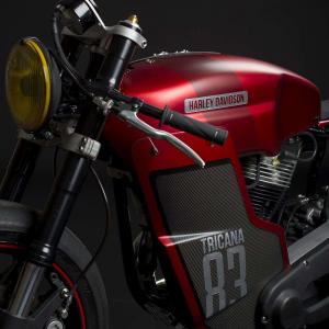 1983 Harley-Davidson Electra Glide Hot Racer by Tricana