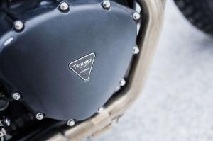 2016 Triumph Bonneville Wasp Waist by Bad Winners
