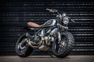 2015 Ducati Scrambler Fat Tire by Down & Out Cafe Racers