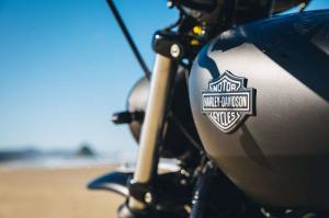 2014 Harley-Davidson Street by Little Horse Cycles