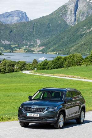 2016 Skoda Kodiaq WW)