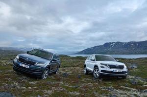 2016 Skoda Kodiaq WW)