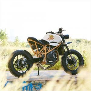 2013 KTM 690 Duke by Federal Moto