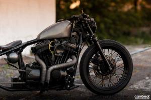 2014 Harley-Davidson Sportster 883 Bobber