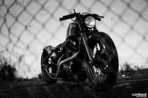 2014 Harley-Davidson Sportster 883 Bobber