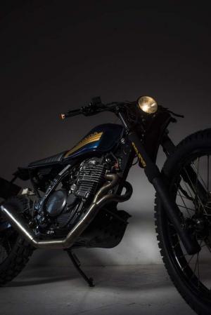 2016 Honda NX650 Dominator Growler by Neuga