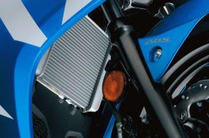 2017 Suzuki GSX-R125
