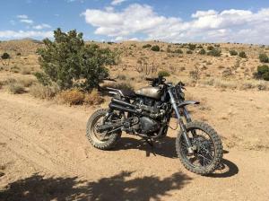 2014 Triumph Scrambler Indominator by Modulus Creative