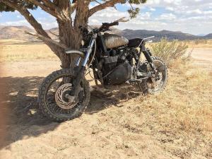 2014 Triumph Scrambler Indominator by Modulus Creative
