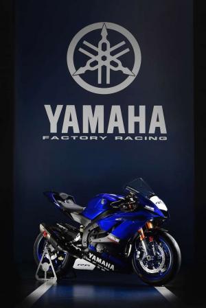 2017 Yamaha YZF-R6