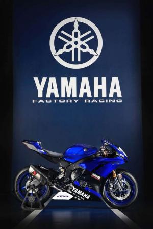 2017 Yamaha YZF-R6