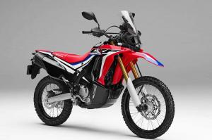 Эндуро Honda CRF250L Rally