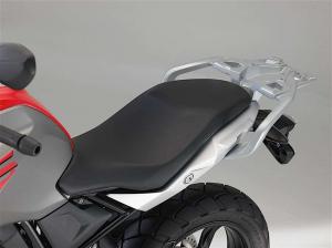 2017 BMW G310 GS