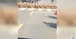 Бывает же такое: в Китае 20 тысяч уток перешли через дорогу