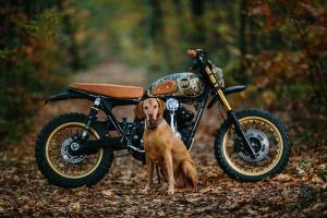 2016 Kawasaki W650 by Tom Thoring