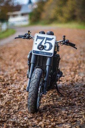 2016 Triumph Trophy La Thierry by Kruz Company