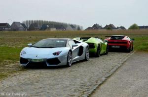 В Бельгии собрались владельцы Lamborghini