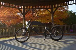 Электровелосипед Tempus CR-T1
