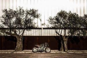 2016 Aprilia RSV4 by Kacerwagen