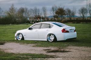 2014 Inifniti M35 from California in VIP-Tuning
