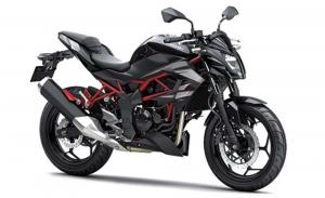 Анонсирован новый нейкед от Kawasaki