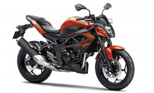 2014 Kawasaki Z250 SL