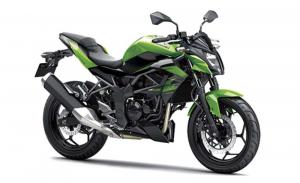 2014 Kawasaki Z250 SL