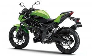2014 Kawasaki Z250 SL