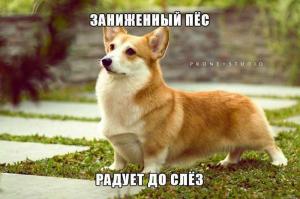Автомобильные демотиваторы часть 107)