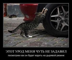 Автомобильные демотиваторы часть 107)