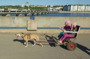 Автомобильная фотоподборка часть 107)