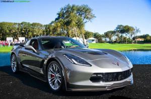 Concours d&rsquo;Elegance 2014