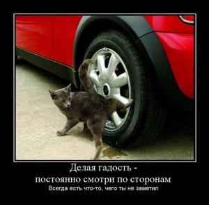 Автомобильные демотиваторы часть 108)