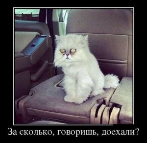 Автомобильные демотиваторы часть 108)
