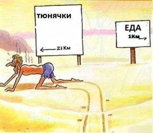 Автомобильные демотиваторы часть 110)