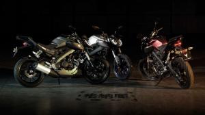 2014 Yamaha MT-125
