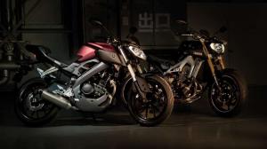 2014 Yamaha MT-125