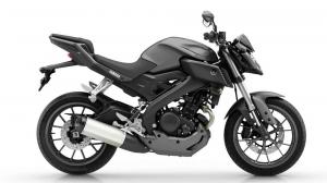 2014 Yamaha MT-125