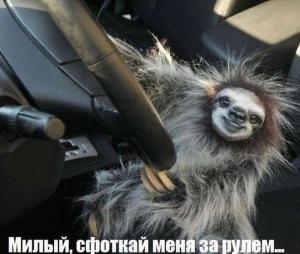 Автомобильные демотиваторы часть 111)