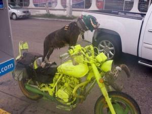 Автомобильная фотоподборка часть 116)