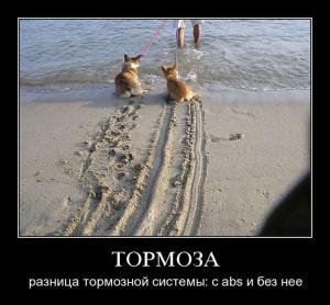 Автомобильные демотиваторы часть 116)