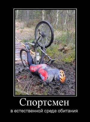 Автомобильные демотиваторы часть 116)