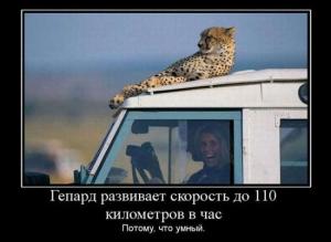 Автомобильные демотиваторы часть 117)