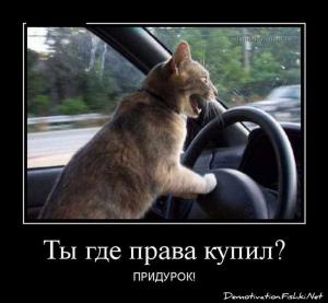Автомобильные демотиваторы часть 118)